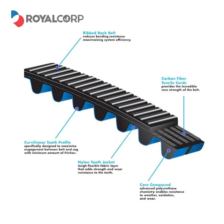 Bicycle Timing Belts