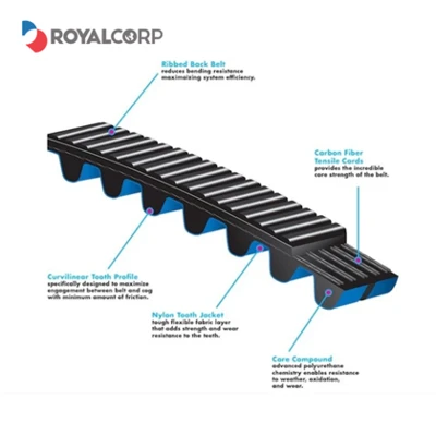 Bicycle Timing Belts Bicycle Timing Belts